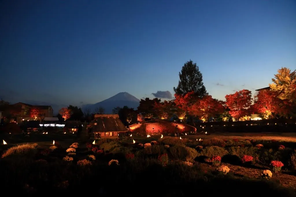 紅葉のライトアップと夕暮れの富士山
